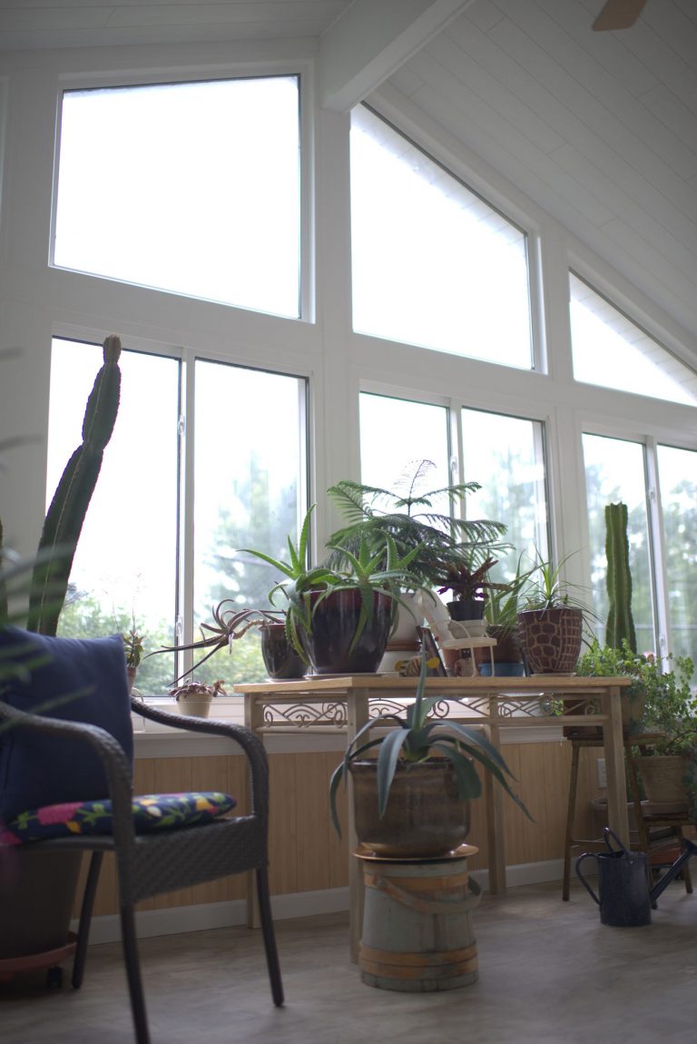 indoor plants